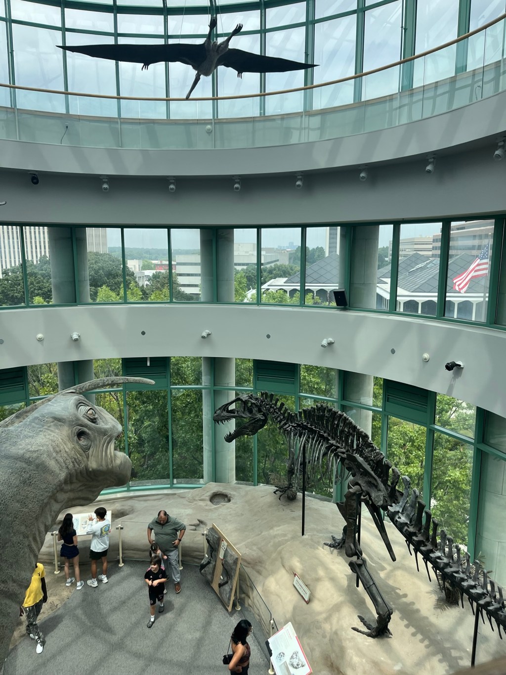 Exploring the Raleigh Science Museum: A Review Through the Lens of Accessibility and Service Dogs
