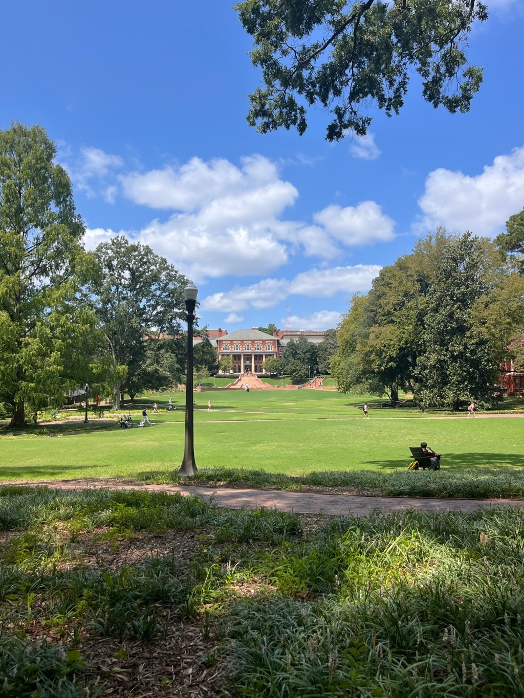 Funding Access: Disability-Based Scholarships for Public and Private Colleges