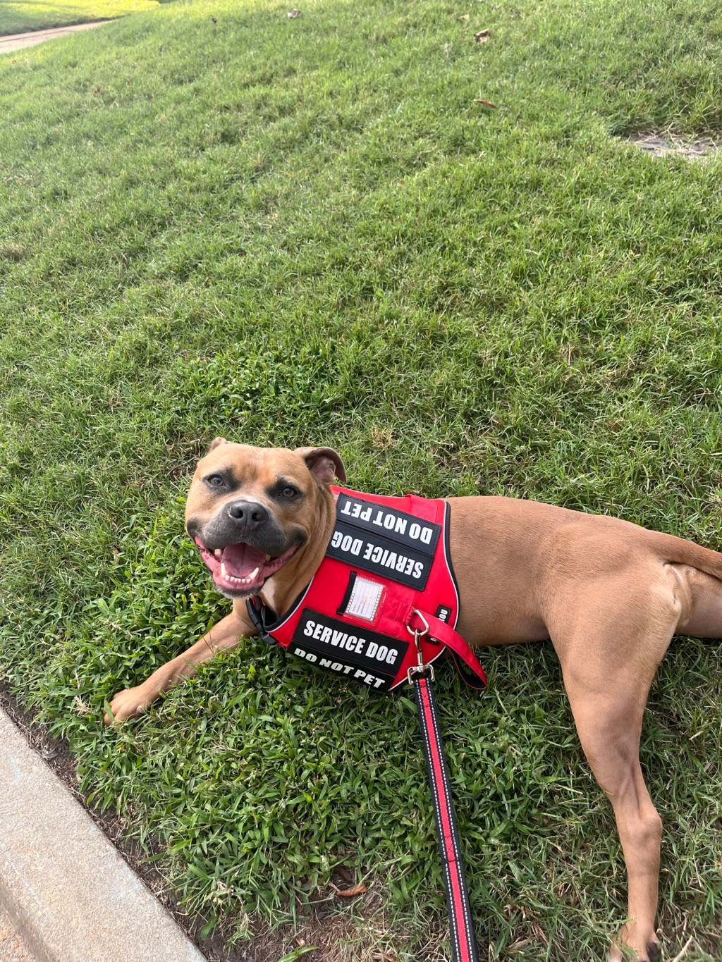 Fit check! Why Trace has a new outfit.