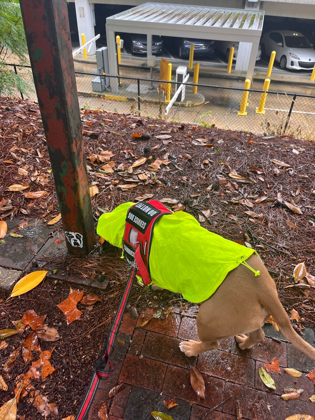 It May Be Rainy, but We’re Not&nbsp;Blue.