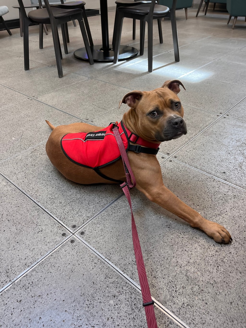Accessible Restroom Policies: Handicap Stalls Aren’t Just for&nbsp;Wheelchairs