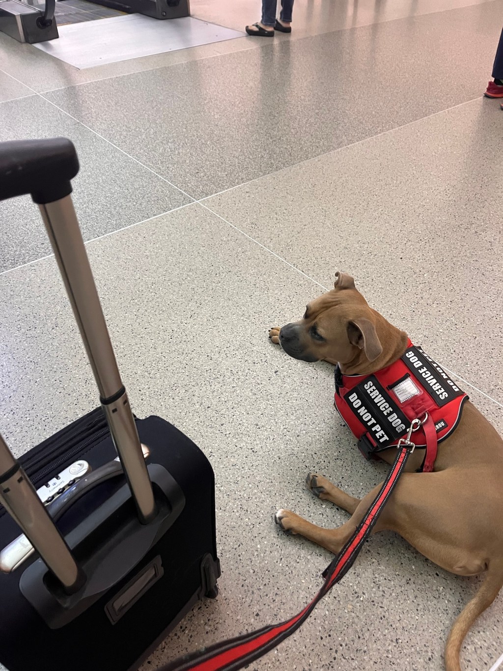 It’s the Night Before a Big Trip – What are We&nbsp;Doing?