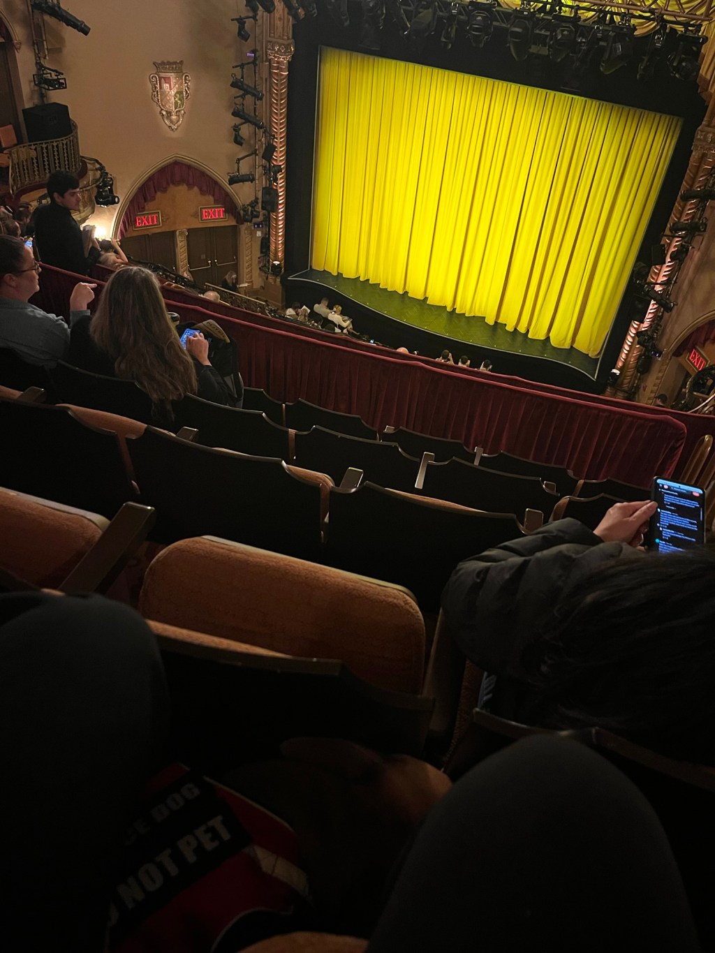 Broadway! Featuring Your Service&nbsp;Dog